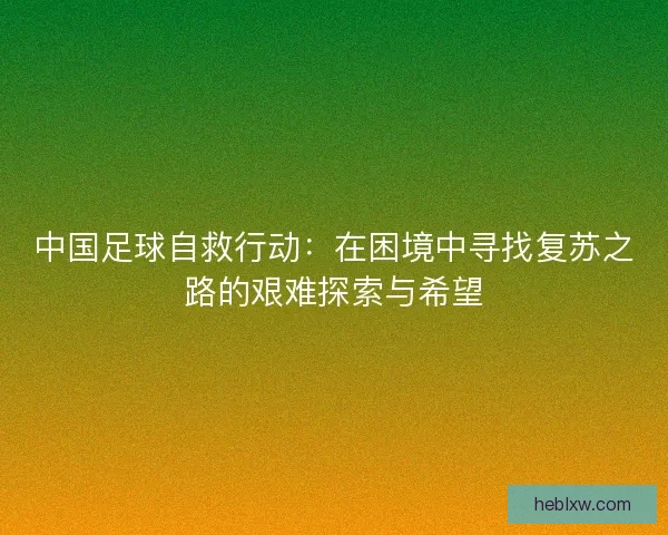 中国足球自救行动：在困境中寻找复苏之路的艰难探索与希望
