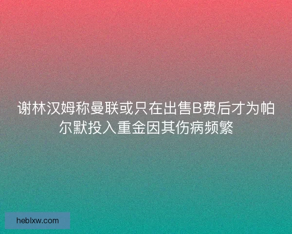 谢林汉姆称曼联或只在出售B费后才为帕尔默投入重金因其伤病频繁