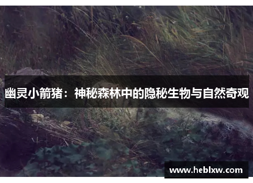 幽灵小箭猪：神秘森林中的隐秘生物与自然奇观