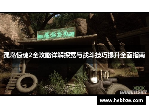 孤岛惊魂2全攻略详解探索与战斗技巧提升全面指南